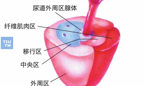奥美拉唑肠溶胶囊-奥美肠溶胶囊一次吃几粒-奥美拉唑镁肠溶片的作用及效果,中国奥美镁肠溶片说明书网站